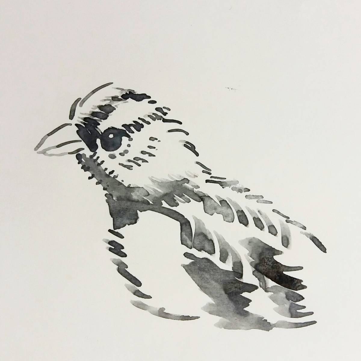 A watercolor-style image of a small bird.