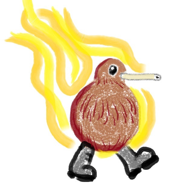 A plump kiwi bird wearing boots and set on fire. It seems undisturbed.