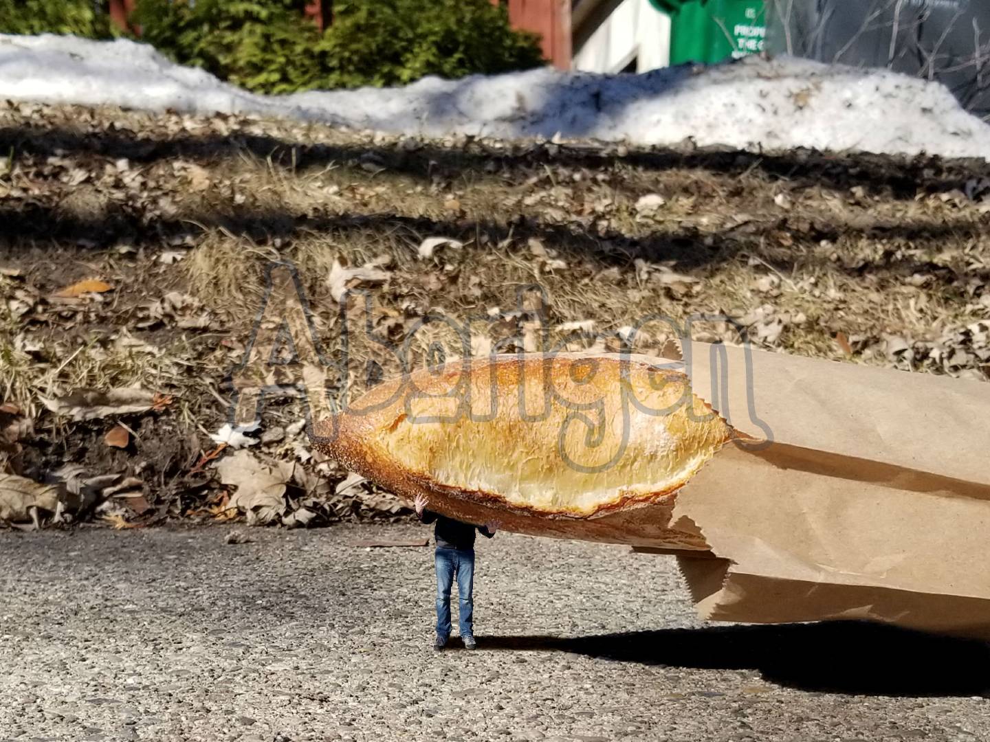 Tiny Aborigen is holding up a giant baguette resting on the sidewalk. His upper body is hidden behind the bread.